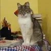Отзыв от Тамара Корнилова